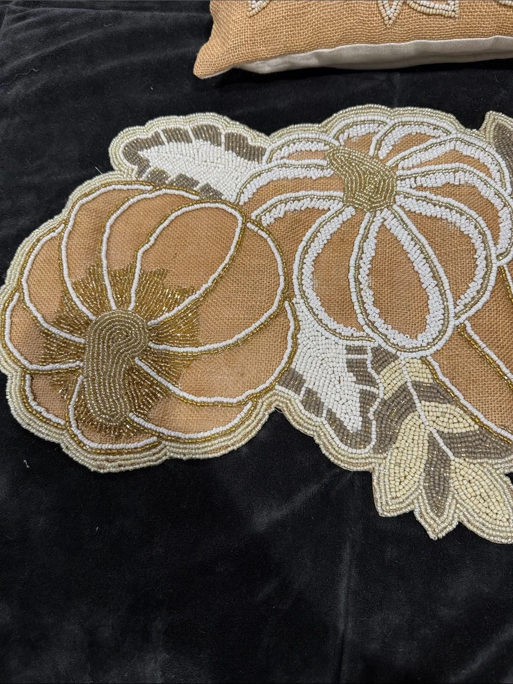 Pier1 Matching Pillows/Kohl’s Brown & Cream Pumpkin Embroidered Table Runner